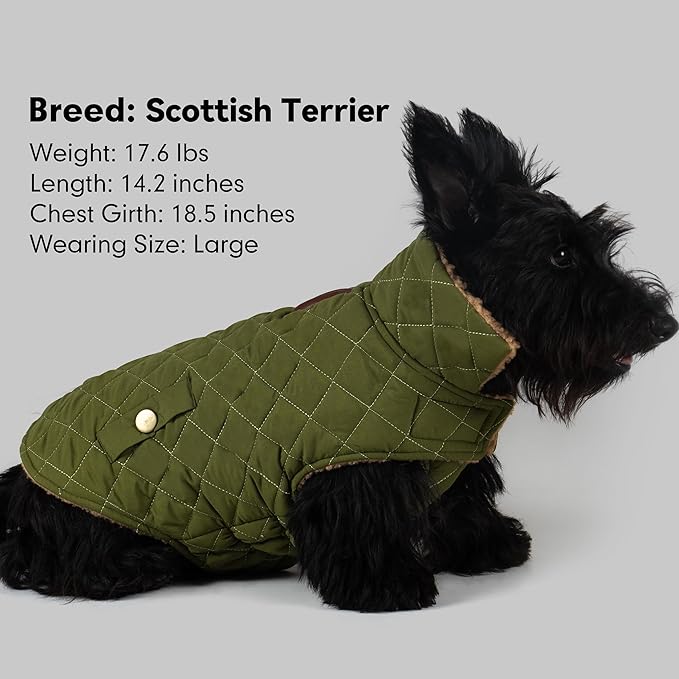 azuza Dog Jacket Waterproof & Windproof Dog Coat for Small Dogs with Thick Fleece, High Collar with Leash Hole, Adjustable Velcro & Elastic Belly, Army Green XL