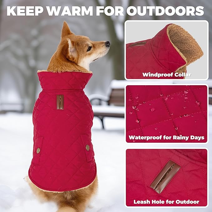 Dog Winter Coat, Warm Dog Jacket Windproof Waterproof Pet Cold Weather Coats for Small Dogs, Turtleneck Fleece Lined Dogs Clothes with Leash Hole, Red Medium
