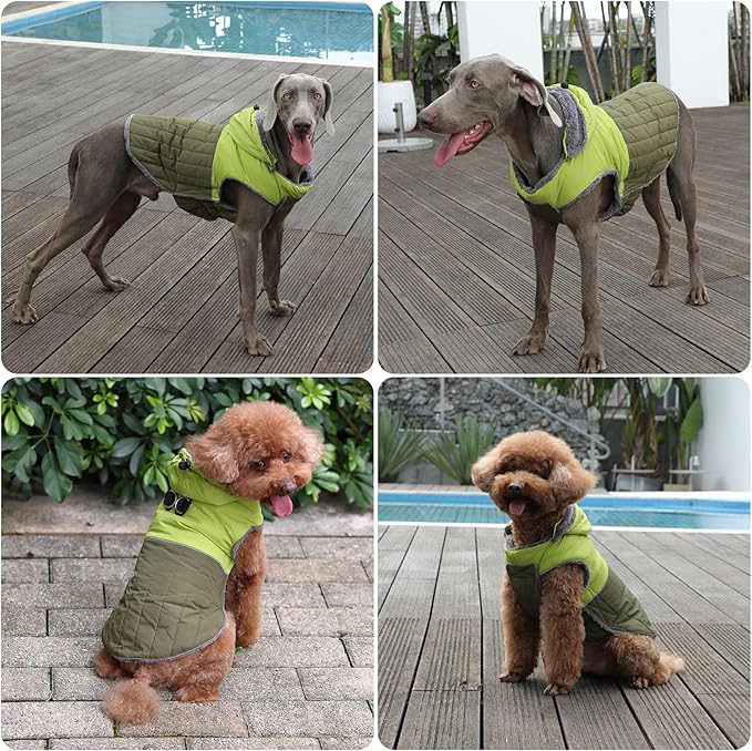 Detachable Hooded Dog Coat with Harness for Small Dogs,Super Warm Fleece Puppy Jacket for Cold Winter Doggie Coats,Green S