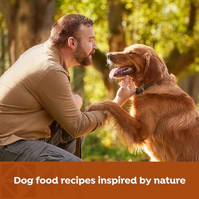 Nature's Recipe Grain Free Wet Dog Food Variety Pack Chicken and Beef Recipes, 13oz. Cans