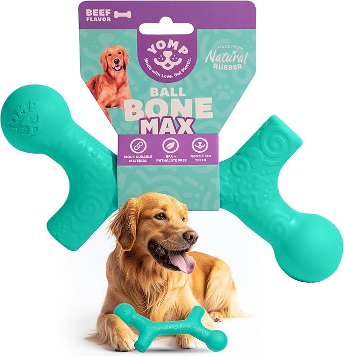 Yomp BallBone MAX: All-Natural Rubber Dog Toy, Nontoxic, Safe for Pet Play (Teal)