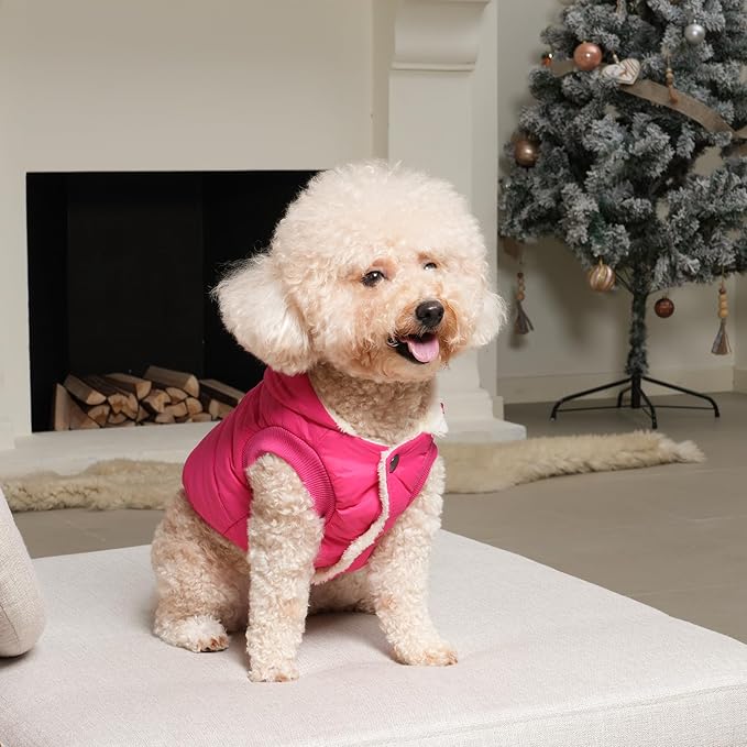 Fleece Lining Extra Warm Dog Hoodie in Winter,Small Dog Jacket Puppy Coats with Hooded Pink S