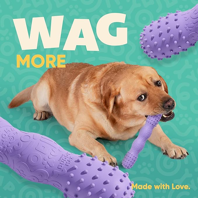 Yomp ToothBuddy MAX Dog Toy – Fetch-Ready & Dishwasher Safe