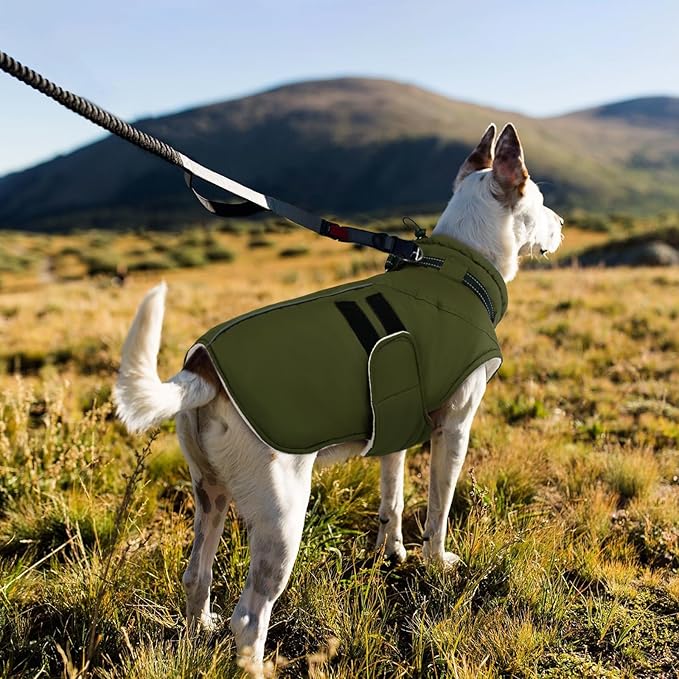 IECOii XXXL Dog Coat for Large Dogs Waterproof Dog Jacket with Collar Built in, Reflective Winter Jacket with Fleece Lined Warm Cold Weather Coats for Extra Large Dogs, Great Dane, Army Green - 3XL