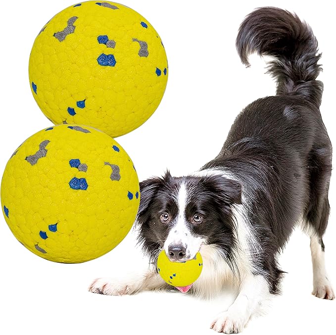 Dog Balls Toys for Aggressive Chewers, Indestructible Durable Bouncy Floating Balls for Dogs to Fetch, Durable Solid Rubber Ball for Training Dog(2 Pack)