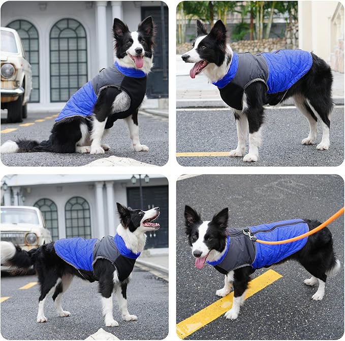Warm Fleece Dog Coats for Small Dogs,D-Rings Waterproof Puppy Jacket for Cold Winter,Blue M