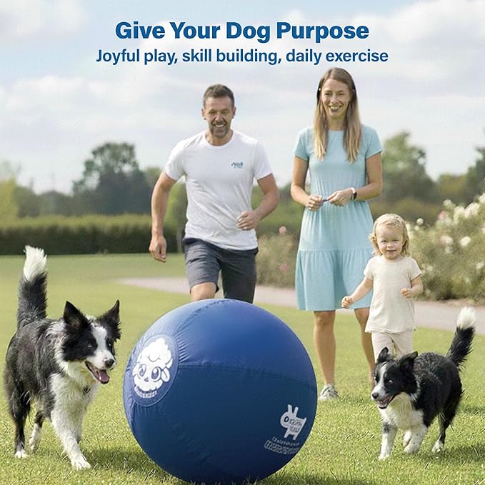 Race&Herd 25" Original XXL Herding Ball for Dogs - Giant Herding Dog Ball Australian Shepherds, Herding Toys, Dog Training Toy for Large Breeds, Dog Toy for Outdoor Play (for Medium Dogs, Yellow)