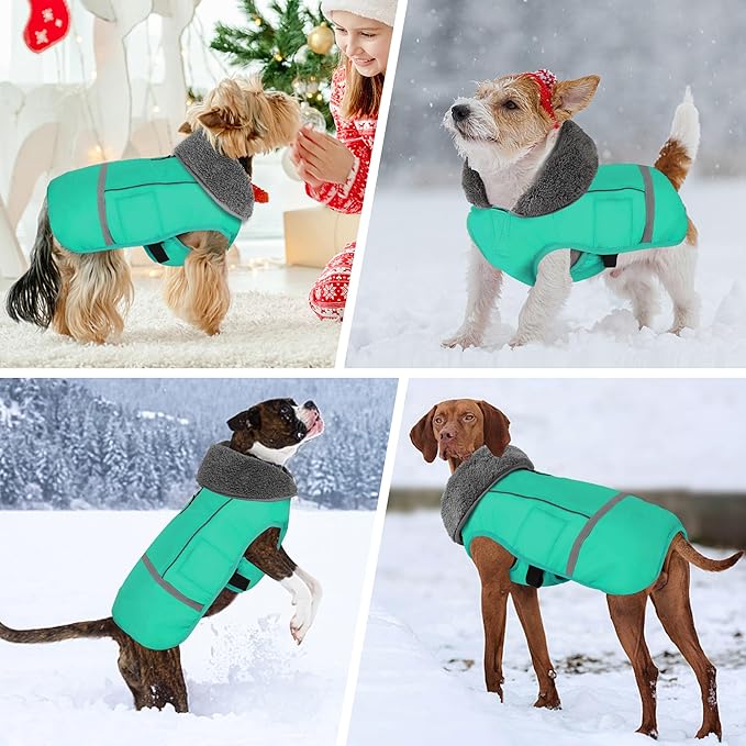 Dogcheer Warm Dog Coat, Waterproof Dog Jacket Christmas Puppy Winter Coat with Buckle, Reflective Adjustable Pet Snow Jacket Turtleneck Fleece Sweater for Small Medium Large Dogs - Pine Green, L
