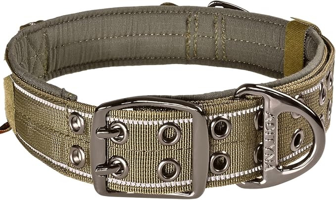 ADITYNA Heavy Duty Dog Collar for Medium Dogs - Reflective Green Collar with Handle for Training, and Walking - Wide, Thick, Tactical, Soft Neoprene Padded