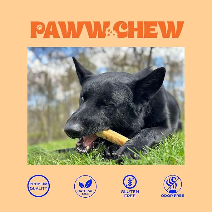 PAWW CHEW Yak Cheese Himalayan Dog Chews - All Natural Long Lasting Dog Treats, (Medium - 5 Pack) Odorless, High Protein Yak Chew, Great for Oral Health, Only 3 Ingredient Yak Bone for Power-Chewers