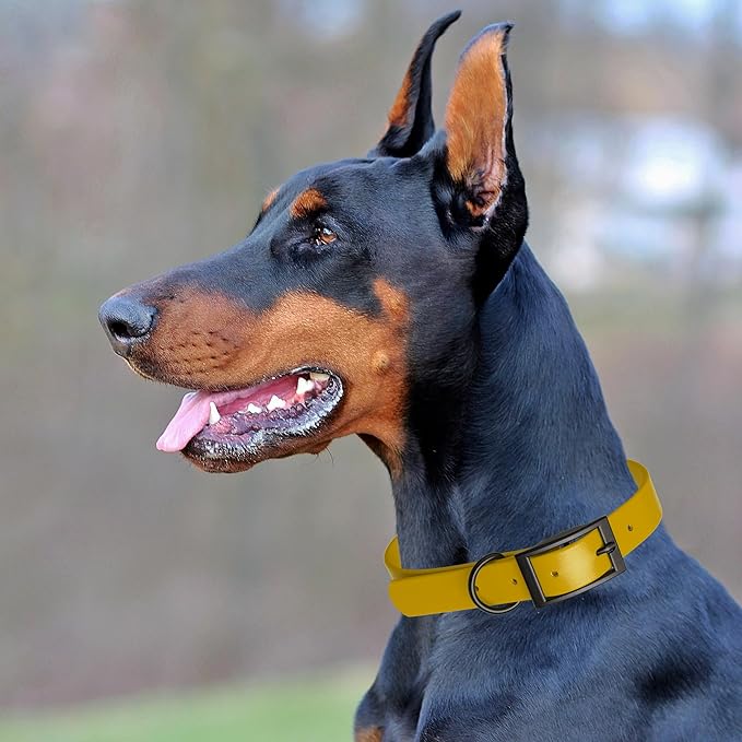 Dogline Biothane Waterproof Dog Collar Strong Coated Nylon Webbing with Black Hardware Odor- Proof for Easy Care Easy to Clean High Performance Fits Small Medium or Large Dogs, Treasure Gold