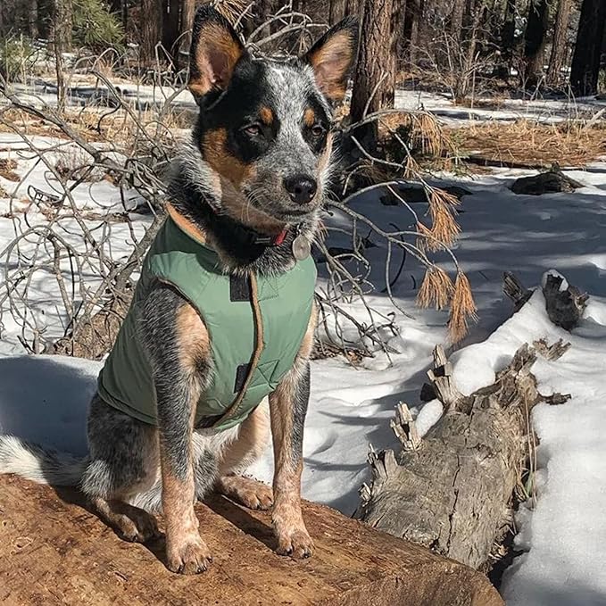Gooby Sports Vest Dog Jacket - Green, Medium - Reflective Dog Vest with D Ring Leash Warm Fleece Lined Hook and Loop Closure for Small to Medium Dogs