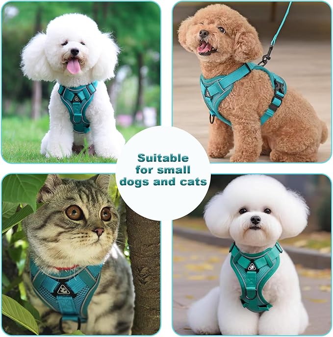SOLMOONY Small Dog Harness,Soft Mesh Puppy Harness and Leash Set,No Escape Cat Harnesses for Training Walking,Reflective Adjustable Puppy Vest for Small Medium Dogs, Cats (Turquoise, S)