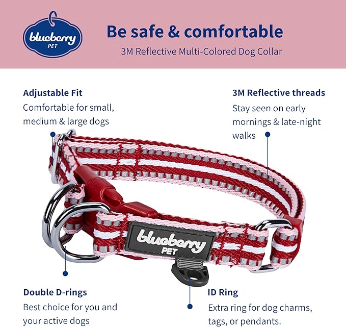 Blueberry Pet Safety Dog Collar with Dual D-Rings | 3M Reflective Multi-Colored Adjustable Collar in Marsala Red and Pink | Soft Nylon Dog Collar for Active Medium Dogs