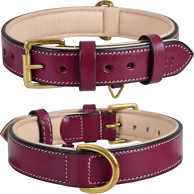 Genuine Leather Dog Collar | Full Grain, Heavy Duty, Comfortable, Padded, Strong | Best for Pups, Small, Medium, Large & XL Breeds (X-Large (Fit Neck Size 22"-26"), Dark Pink)