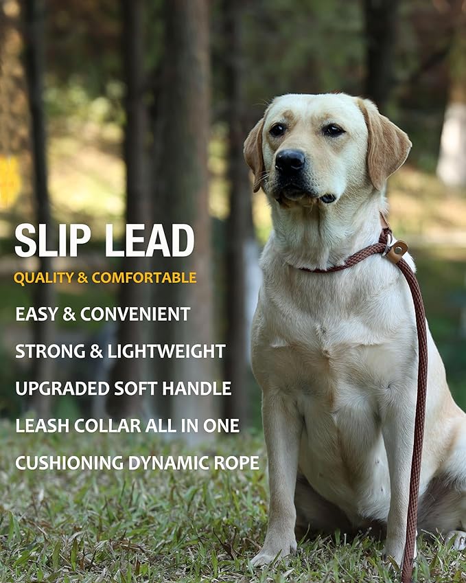 lynxking Dog Leash Slip Lead 5 6 8 FT Dog Training Leash Strong Heavy Duty Braided No Pull Training Lead Leashes for Small Medium Large Dogs