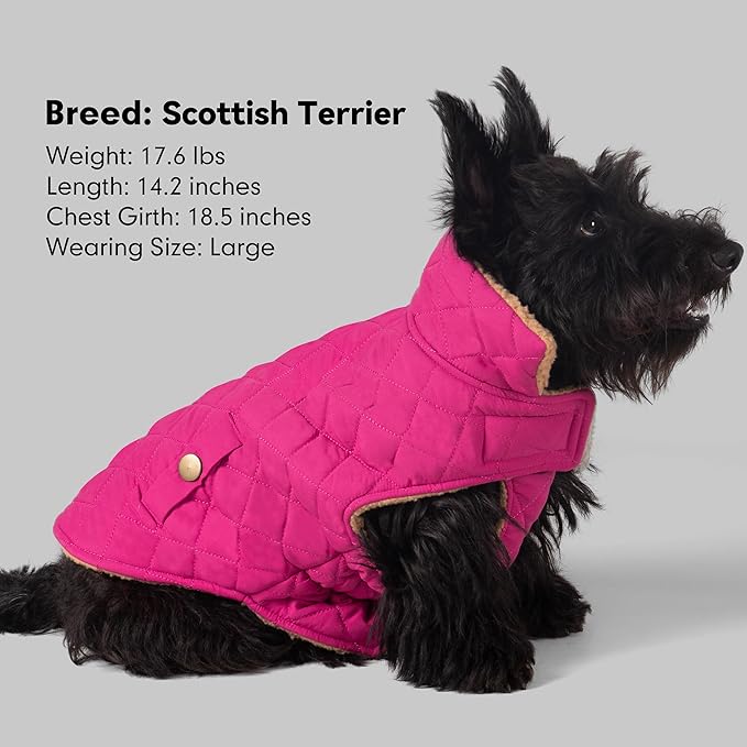 azuza Dog Jacket for Medium Dogs Waterproof & Windproof Dog Coat for Small Dogs with Thick Fleece, High Collar with Leash Hole, Adjustable Velcro & Elastic Belly, Rose Red 2XL