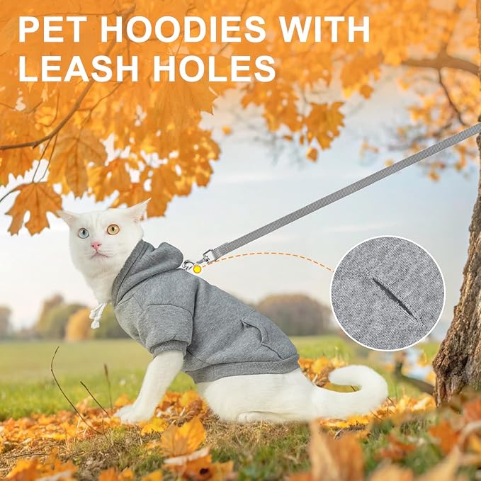 BEAUTYZOO Dog Hoodie & Cat Sweater for Small Dogs Puppy Girls Boys, Fleece Lined Warm Winter Fall Dog Clothes with Leash Hole and Pocket, Ultra-Soft Pet Jacket Coats Kitten Clothing, Grey M
