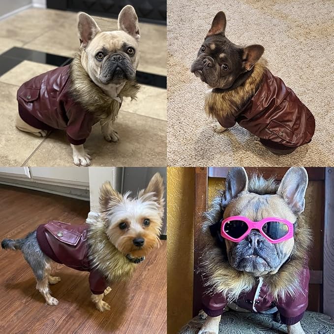 LESYPET Dog Leather Jacket for Small Dogs, Waterproof Dog Winter Jacket Puppy Coat with Fleece Lined, Ultra Warm Fur Collar Doggie Coat, Red XX-Large