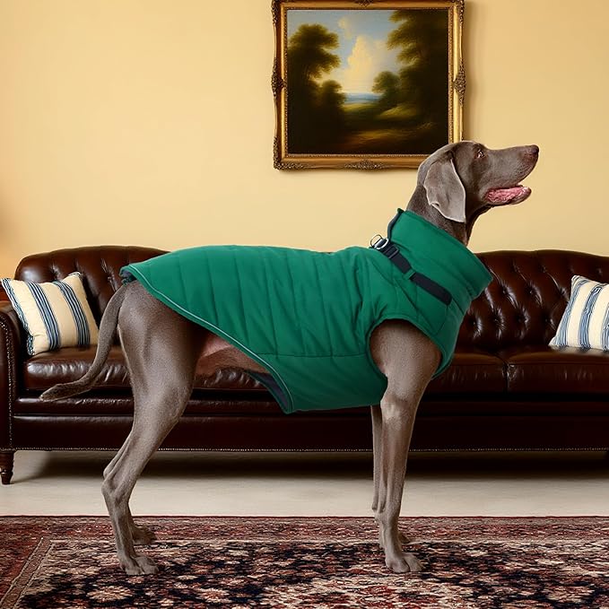 Kuoser Dog Jacket, Coat for Large Dogs with Harness Built-in, Thick Vest with Leash Hole, Cold Weather Snow Jacket for Labrador Beagle, Green XL
