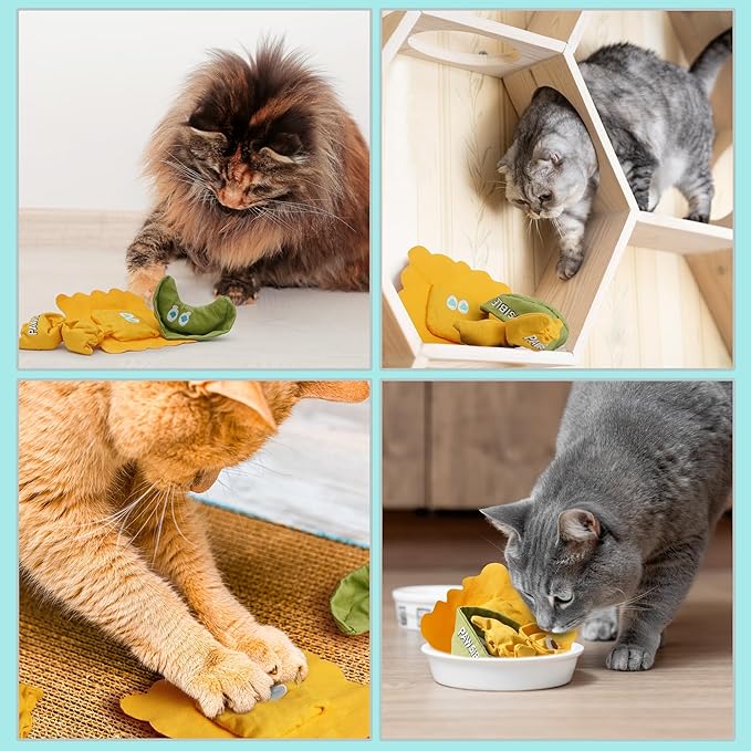 3 Pack Ravioli Catnip Toys for Indoor Cats, Interactive Cat Toys Filled with 100% Organic Catnip, Plush Chew Toys for Kittens, Teething Soft Catnip Toys for Cats