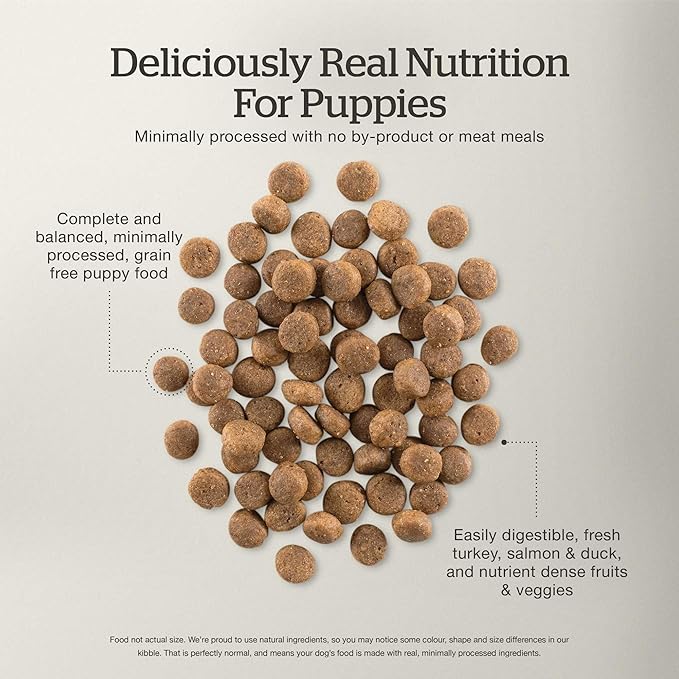 Now Fresh Grain-Free Dry Puppy Food with Turkey, Salmon & Duck, Healthy Kibble for Growing Dogs with Real Meat & Fish, Chicken-Free, Enhanced with Pumpkin & Probiotics for Good Digestion, 22 lb Bag