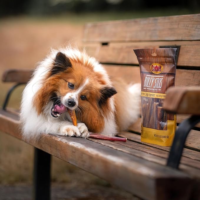 Cadet Bully Sticks for Small Dogs, All-Natural Beef Pizzle, Rawhide-Free Long-Lasting Dog Chews for Aggressive Chewers, 1 Pound