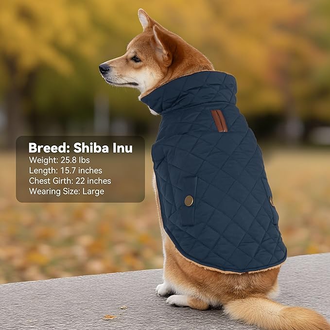 Dog Winter Coat, Dog Jacket with Warm Fleece Lined, Waterproof Windproof Dogs Cold Weather Coats Clothes for Puppy Dogs Snowsuit with Leash Hole, Navy Small
