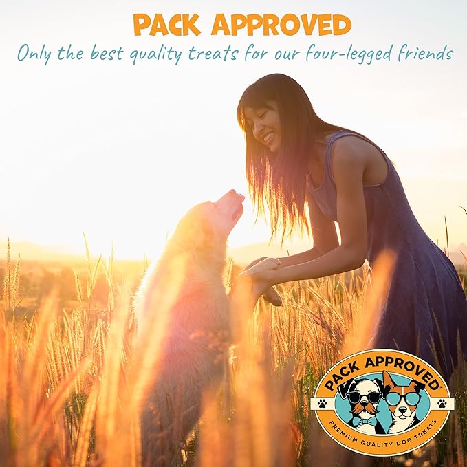 Chicken Sticks for Dogs - Dehydrated Chicken Jerky Treats. Single Ingredient Made and Sourced in America - High Protein, Low Fat - Crunchy Treat Sticks - 6.2oz (Pack of 2)