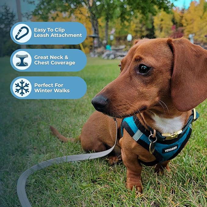 Best Pet Supplies - All Weather Mesh / Plush, Reflective, No Pull Harness for Small, Medium Dogs, Cats - Secure with Hook & Loop Fastener, Buckle, Double D-Rings - Turquoise Plush, XS