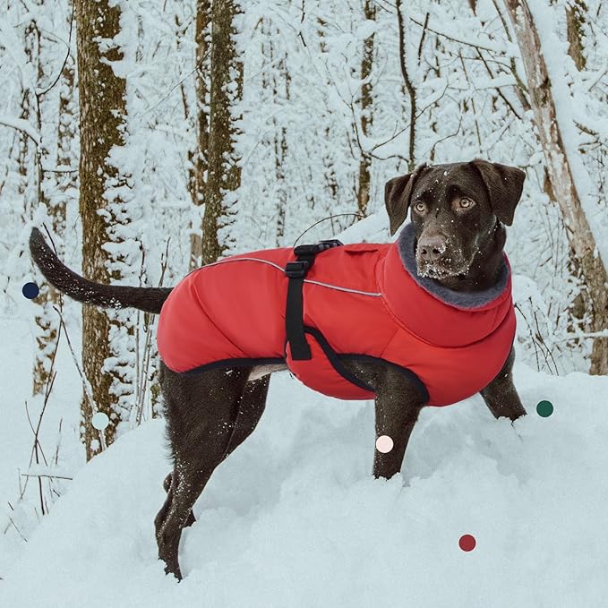 IECOii Extra Warm Dog Coat - Reflective Adjustable Jacket With Buckle Fleece Turtleneck for Cold Weather - Soft Winter Coat for Small Medium Extra Large Dogs