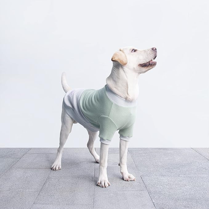 Extra Large Dog Sweaters Warm Clothes Pullover Sweatshirts for Labrador Rottweiler Great Dane, Green Grey, 6X-Large