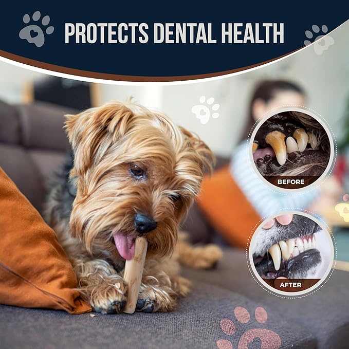 Coffee Wood Dog Chew Sticks 6.5" & Dog Rope Toys for Puppy - 100% Natural Puppy Chew for Teething, Organic Wood Stick - Size XS