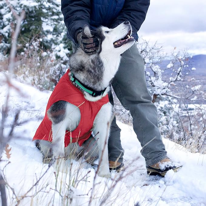 Kurgo Loft Dog Jacket - Reversible Cozy Coat for Outdoor Adventures - Water Resistant - Athletic Fit - Machine Washable Fabric - Reflective Dog Gear - Large - Chili Red
