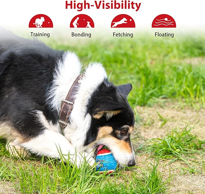 Gigwi Tennis Balls for Dogs, Squeaky Dog Tennis Balls for Exercise, High Bouncy Pet Ball Bright Colors 2.5 Inches, Interactive Funny Dog Toys for All Breeds of Dogs Indoor & Outdoor Dog Games, 3 Pack