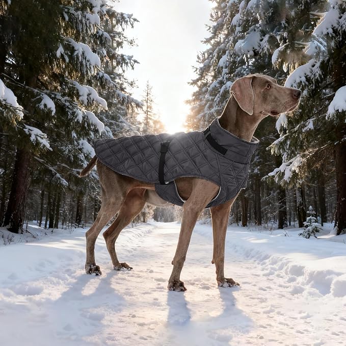 Kuoser Dog Coat Warm Fleece Lining Turtleneck Dog Jacket with Harness Built-in, Adjustable Windproof Cold Weather Coats with Quick Release Buckle Pet Winter Snowsuit for Extra Large Dogs, Grey 2XL