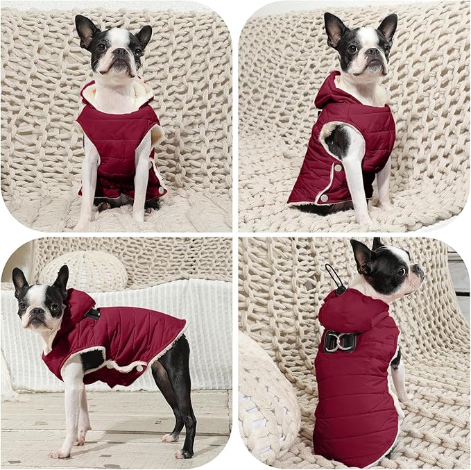 Fleece Lining Dog Hoodie with Harness Built in,Extra Warm Small Dog Jacket in Winter Puppy Coats with Drawstring Hooded,Red S
