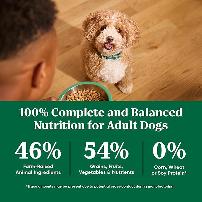 Nutro Natural Choice Chicken & Brown Rice Small Breed Dog Food Dry Recipe, 13 lb. Bag