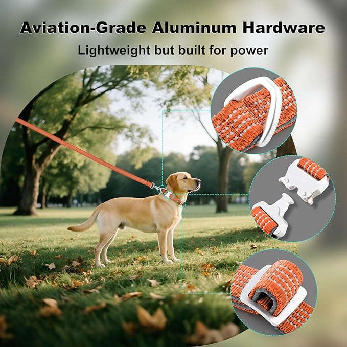 Plutus Pet Reflective Dog Collar with Aviation Aluminum Buckle, Neoprene Padded for Comfort, Lightweight, Heavy Duty Nylon Collar for Puppy Small Medium Large Dogs (Orange, S)
