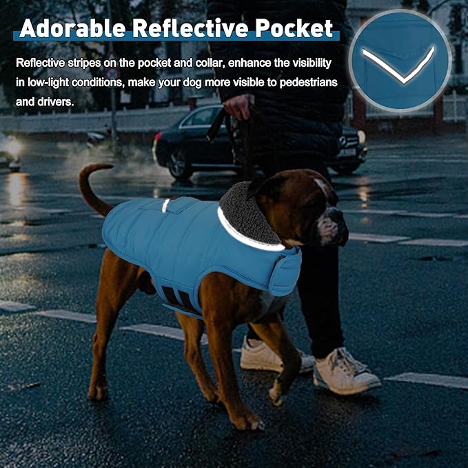 Dog Coat, Waterproof Dog Winter Jacket with Pocket, Reflective Adjustable Pet Snow Vest, Warm Cozy Fleece Sweater for Small Medium Extra Large Dogs - Sky Blue, L