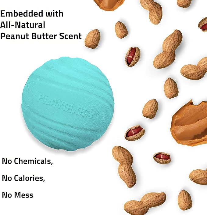 Playology Dog Toys | Dual Layer Ball Durable Chew Toy for Aggressive Chewers | Jumbo Peanut Butter Scented Toy - Easy to Clean and Made from Non Toxic Materials