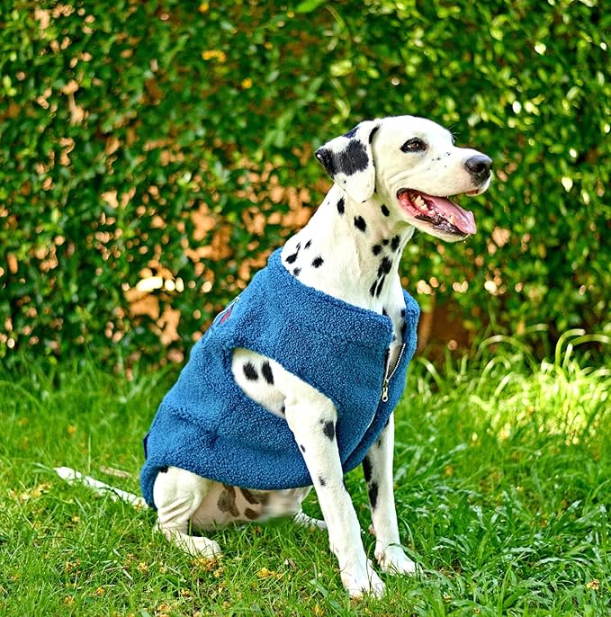 Tuff Pupper Reversible Fleece Sweater Vest for Dogs | Lightweight Comfortable Insulated Jacket | Front Zip Closure | Machine Washable | Built-in Leash Hole | Sizes for All Breeds (Small, Teal)