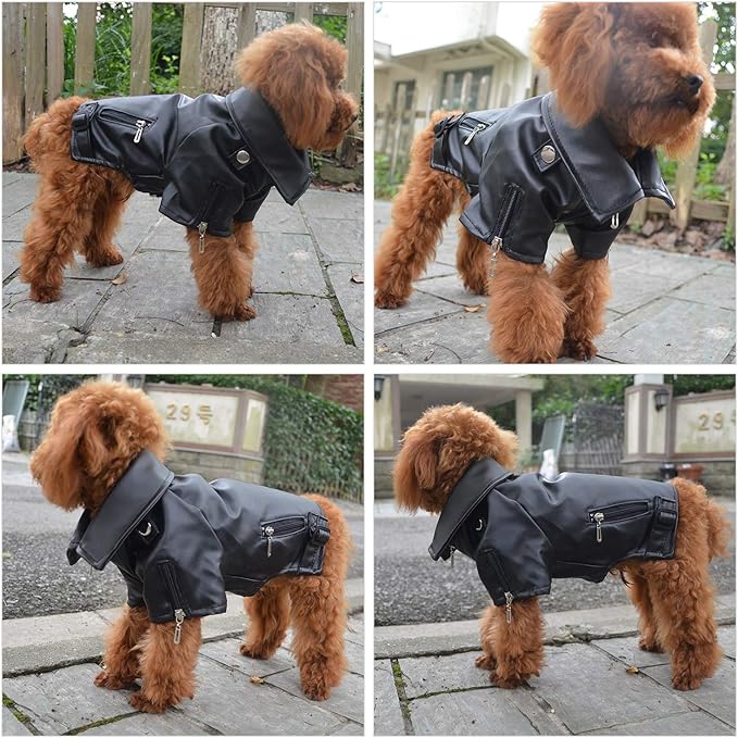 Lovelonglong Cool Dog Leather Jacket, Warm Coats Dogs Windproof Cold Weather Coats for Large Medium Small Dogs, Toy Poodle Clothing Black XS