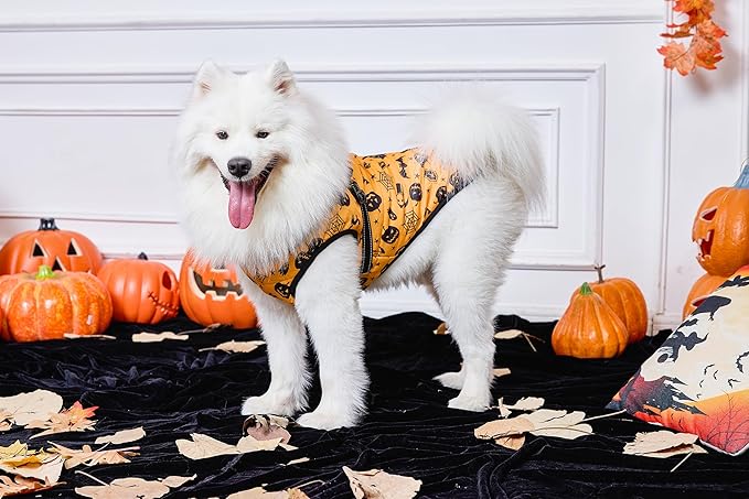 Aiboria Dog Jackets Windproof Outfit Coat Dog Vest Harness Puppy Warm Jacket Halloween Orange M