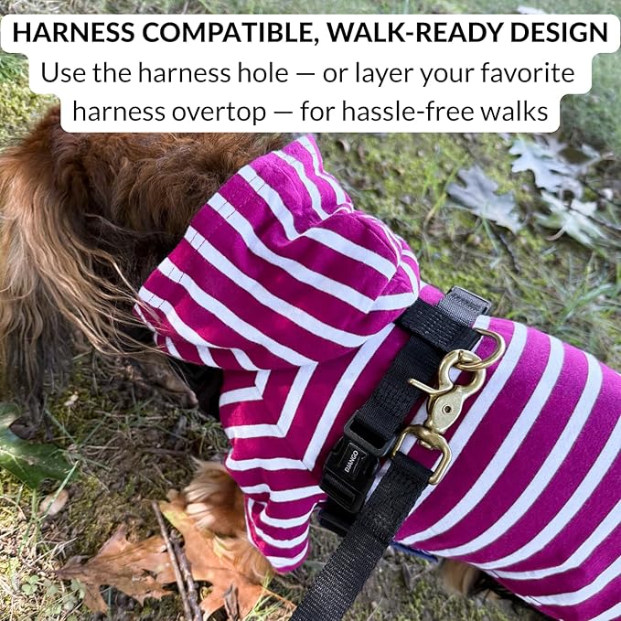 DJANGO Dog Hoodie – Warm, Lightweight, Soft & Stretchy Dog Sweater with Hood, Harness Hole & Elastic Waistband – Cozy Sweatshirt for Small Dogs up to 25 lbs, Dachshunds & Puppies – Boysenberry, Medium