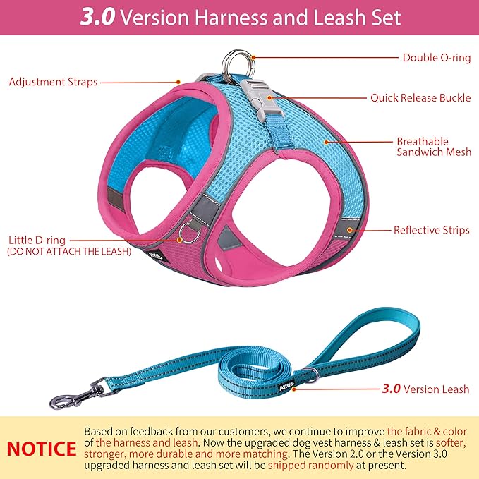 AIITLE Step in Dog Harness and Leash Set - Summer No Pull Escape Proof Vest Harnesses with Soft Mesh and Reflective Bands, Adjustable Pet Outdoor Harnesses for Small and Medium Dogs Hot Pink M