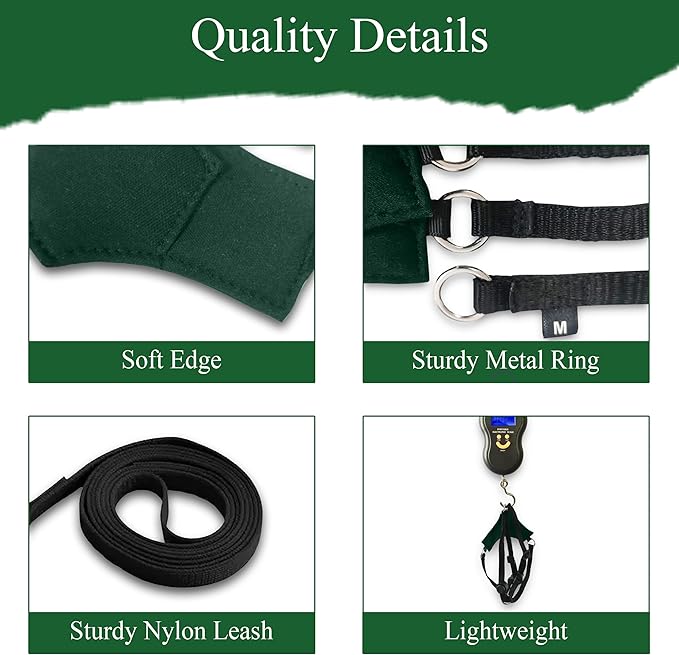 A1HC Escape Proof Cat Harness and Leash - Soft Adjustable Vest, Comfortable Mesh and Long Strips with Air Tag Pocket, Easy Control, Safe Walking Harness for Cats & Kittens - Dark Green (Medium)
