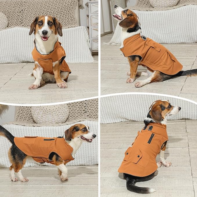 Workwear Style Dog Coats with Harness Built in for Small Dogs Windproof Warm Puppy Jacket with Storage Pockets for Cold Winter,BrightBeige M