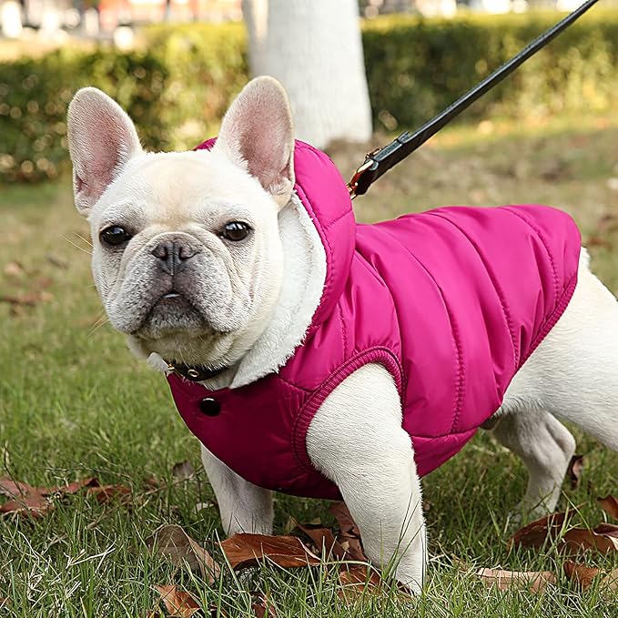 Fleece Hoodie, Windproof Waterproof Coat, Winter Warm Jacket, Cold Weather Pet Apparel Clothes Vest for Small Medium Large Dogs (S, Pink)