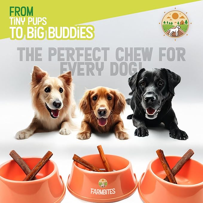 Bully Sticks – Odor-Free (6”, 15-Pack) | All-Natural 100% Beef Dog Chews | Grass-Fed, Grain-Free, Non-GMO | Easily Digestible Treat for Puppies, Small Breeds & Senior Dogs